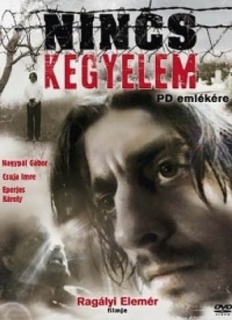Nincs kegyelem