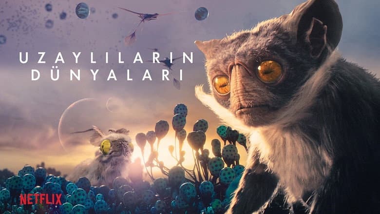 Uzaylıların Dünyaları Görsel 2
