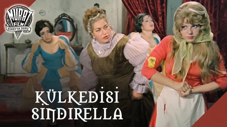 Sinderella Külkedisi Görsel 1
