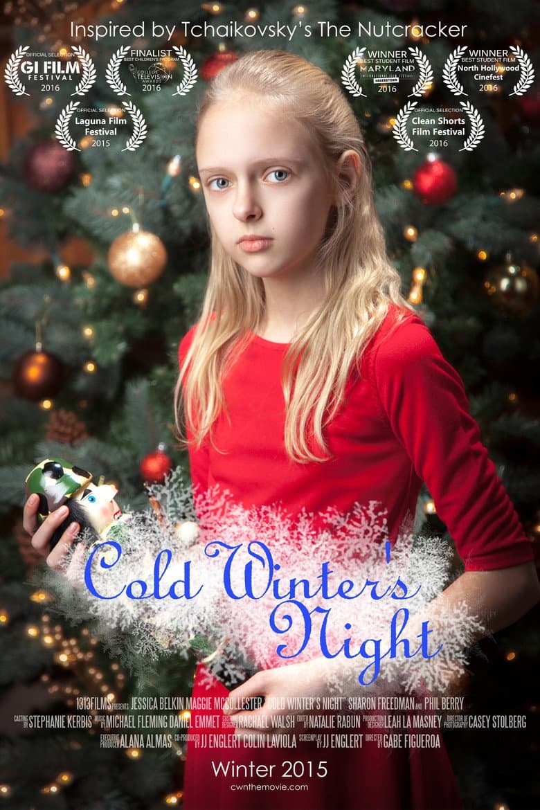 Cold Winter's Night