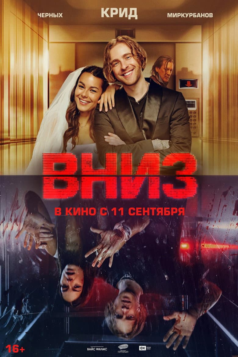 Вниз
