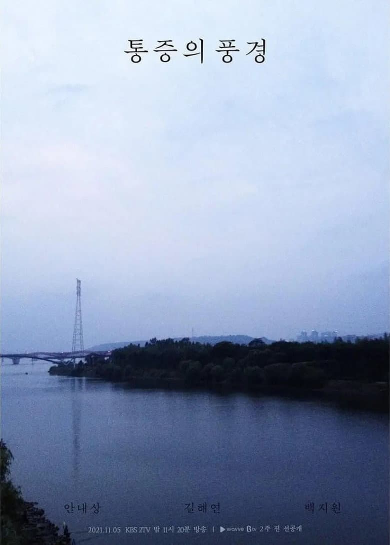 통증의 풍경