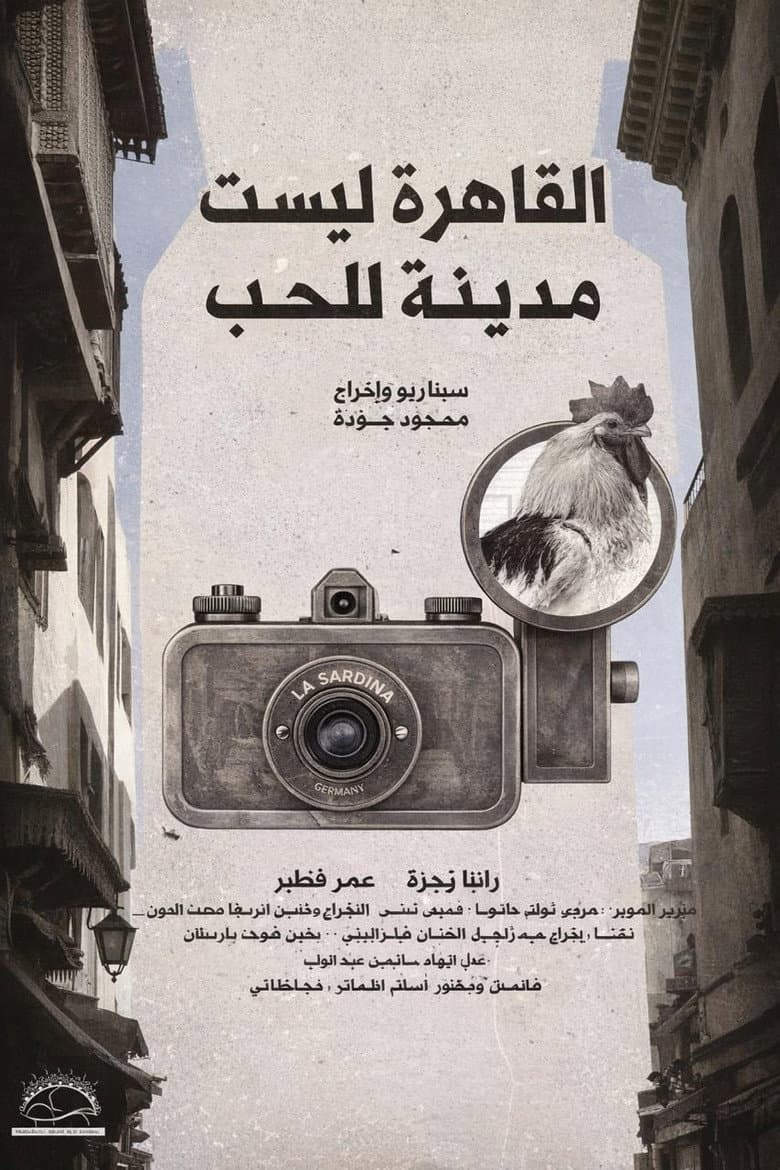 القاهرة ليست مدينة للحب