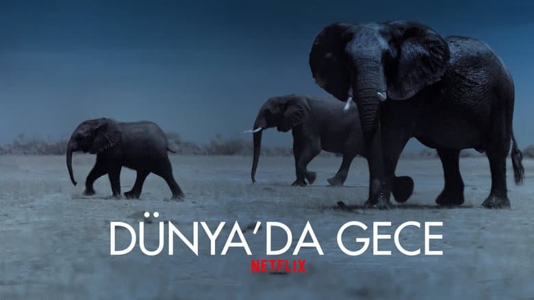 Dünya'da Gece Görsel 1