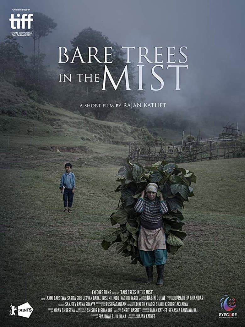 Bare Trees in the Mist