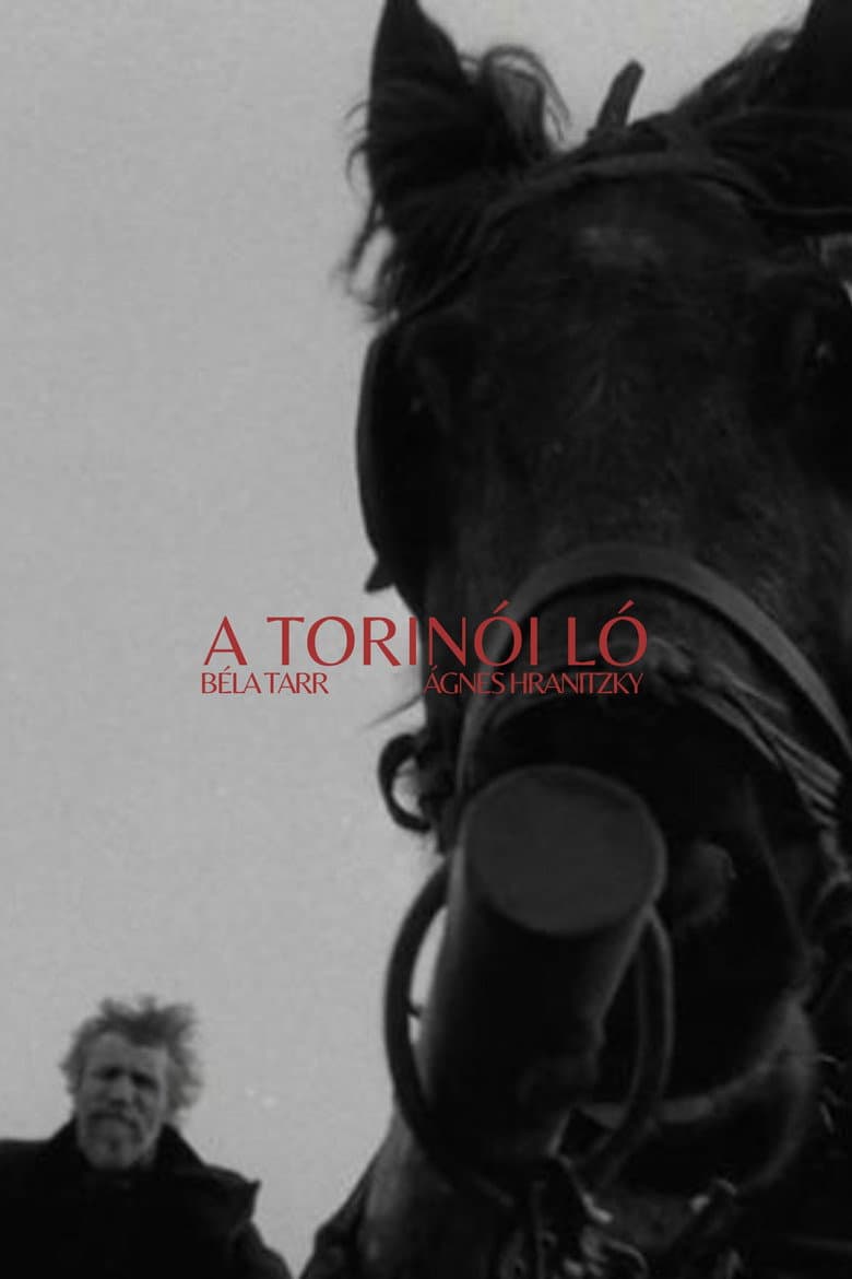 Torino Atı