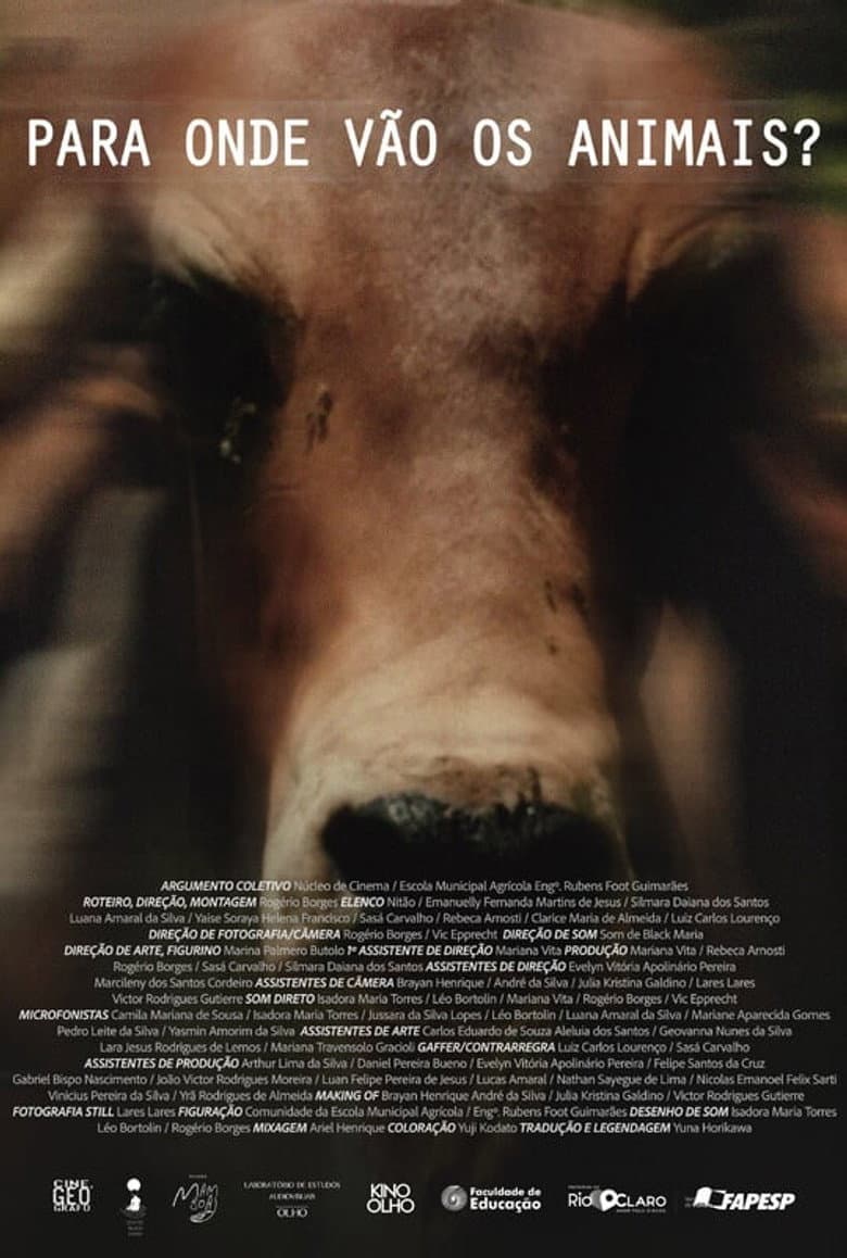 Para Onde Vão Os Animais