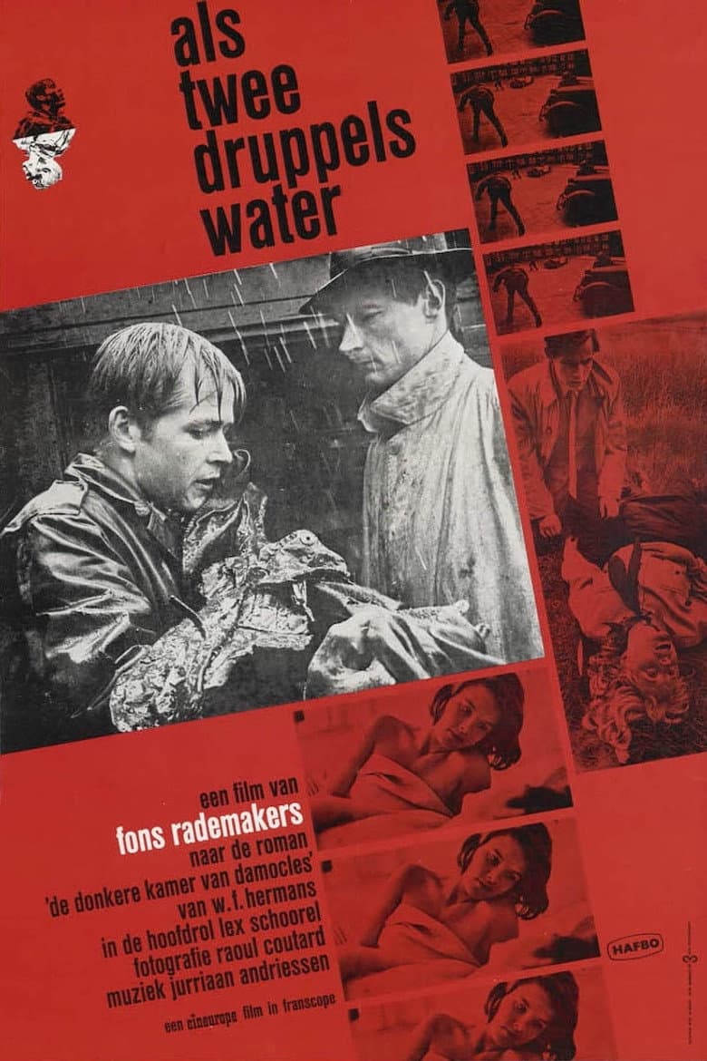 Als twee druppels water