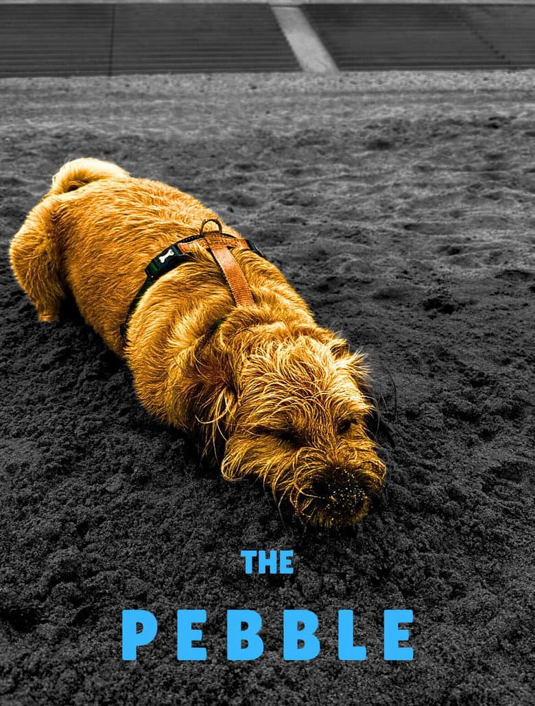 The Pebble
