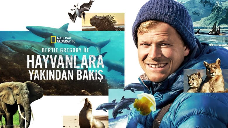 Bertie Gregory ile Hayvanlara Yakından Bakış Görsel 1