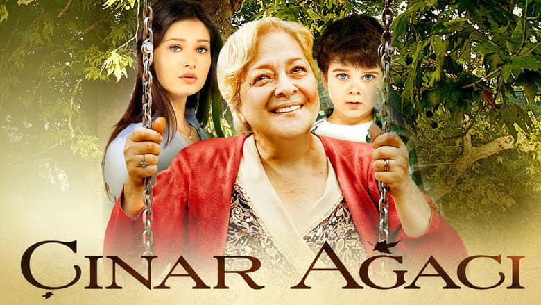 Çınar Ağacı Görsel 1