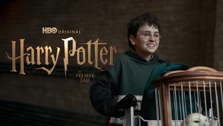 Harry Potter Görsel 4