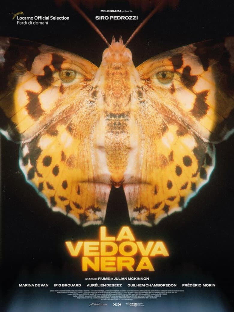 La vedova nera