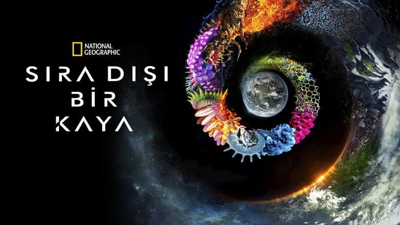 Sıra Dışı Bir Kaya Görsel 1