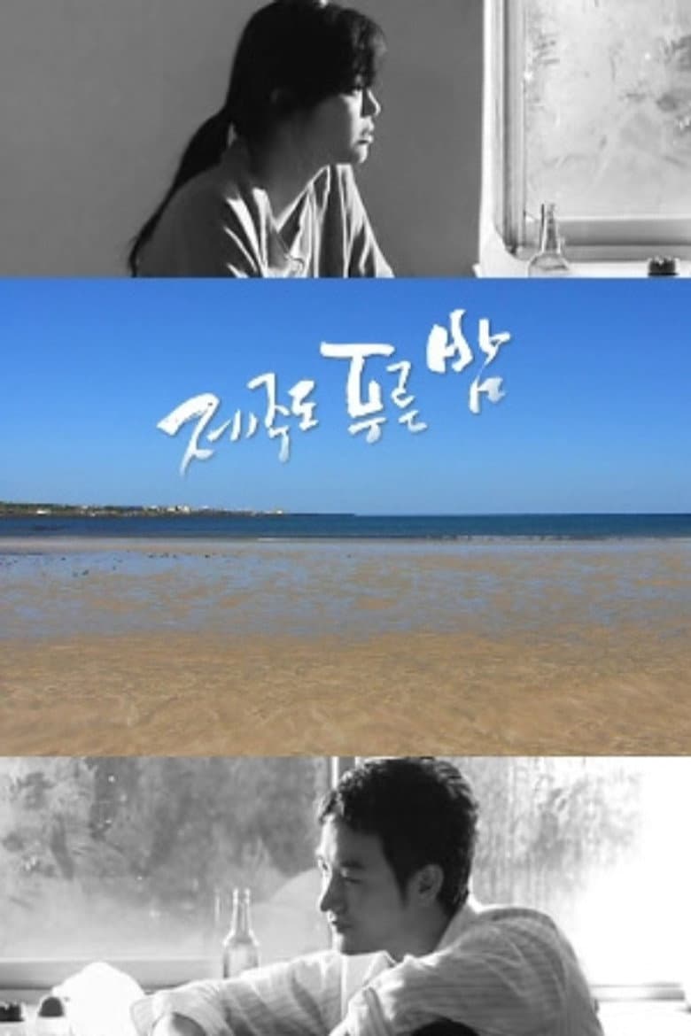 드라마 시티: 제주도 푸른밤