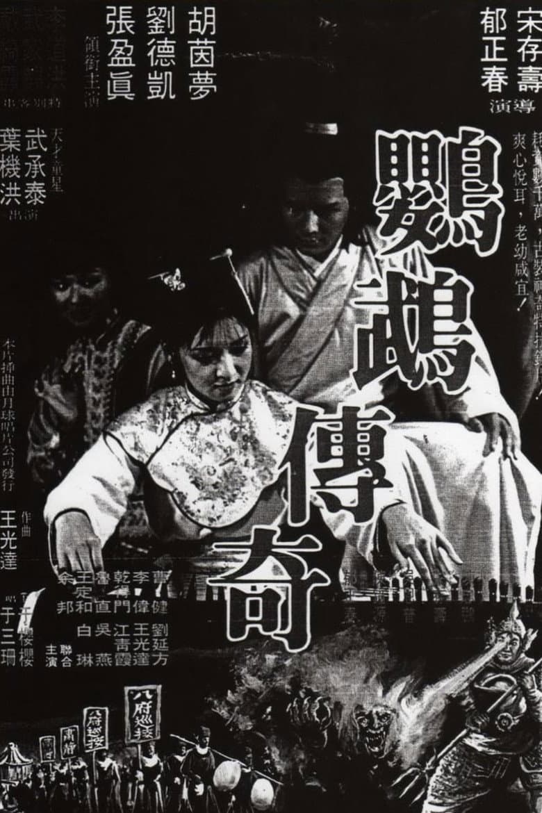 鸚鵡傳奇
