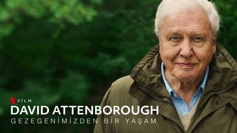 David Attenborough: Gezegenimizden Bir Yaşam Görsel 1