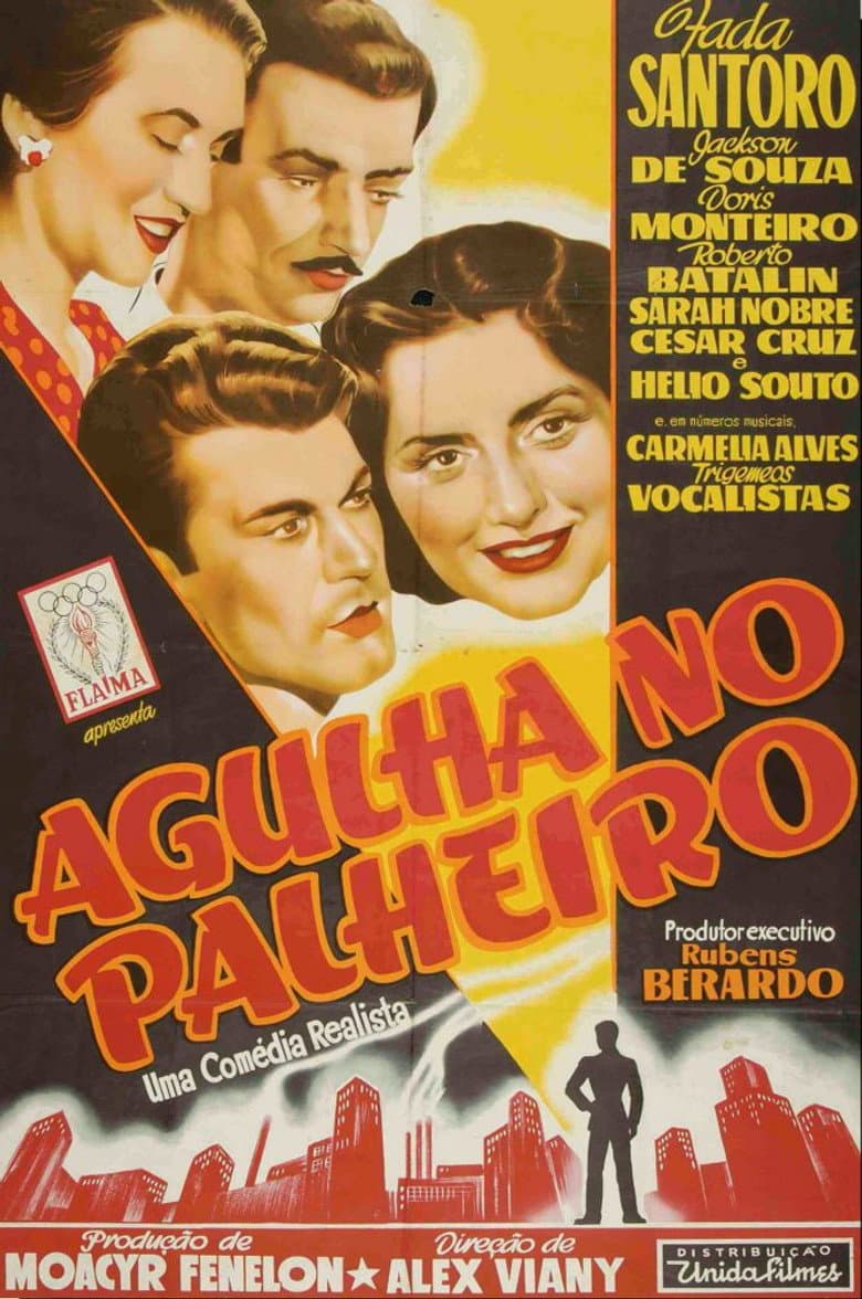 Agulha no Palheiro