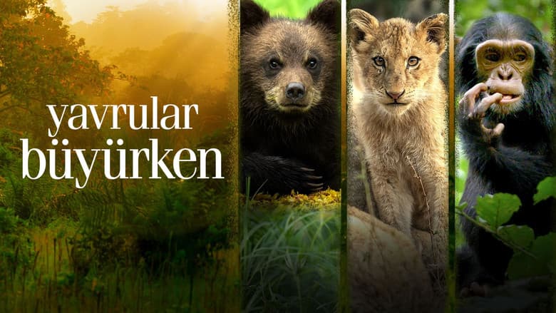 Yavrular Büyürken Görsel 1