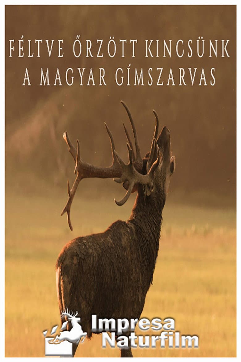 Féltve őrzött kincsünk, a magyar gímszarvas
