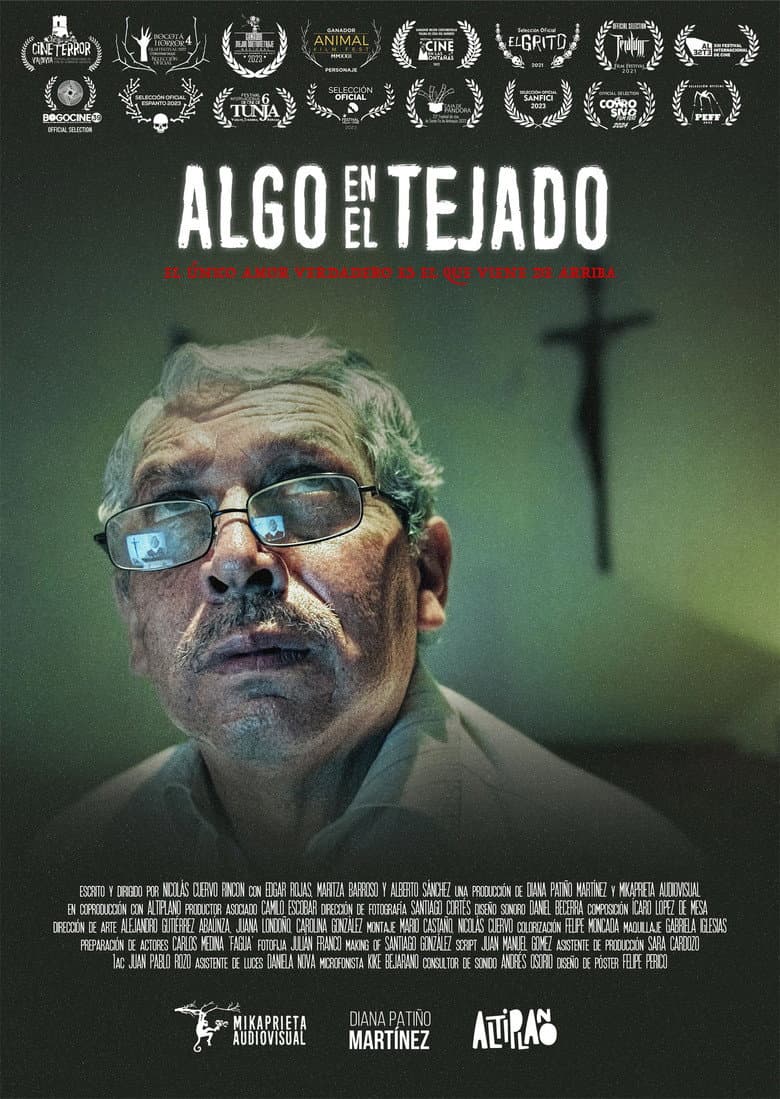 Algo en el tejado