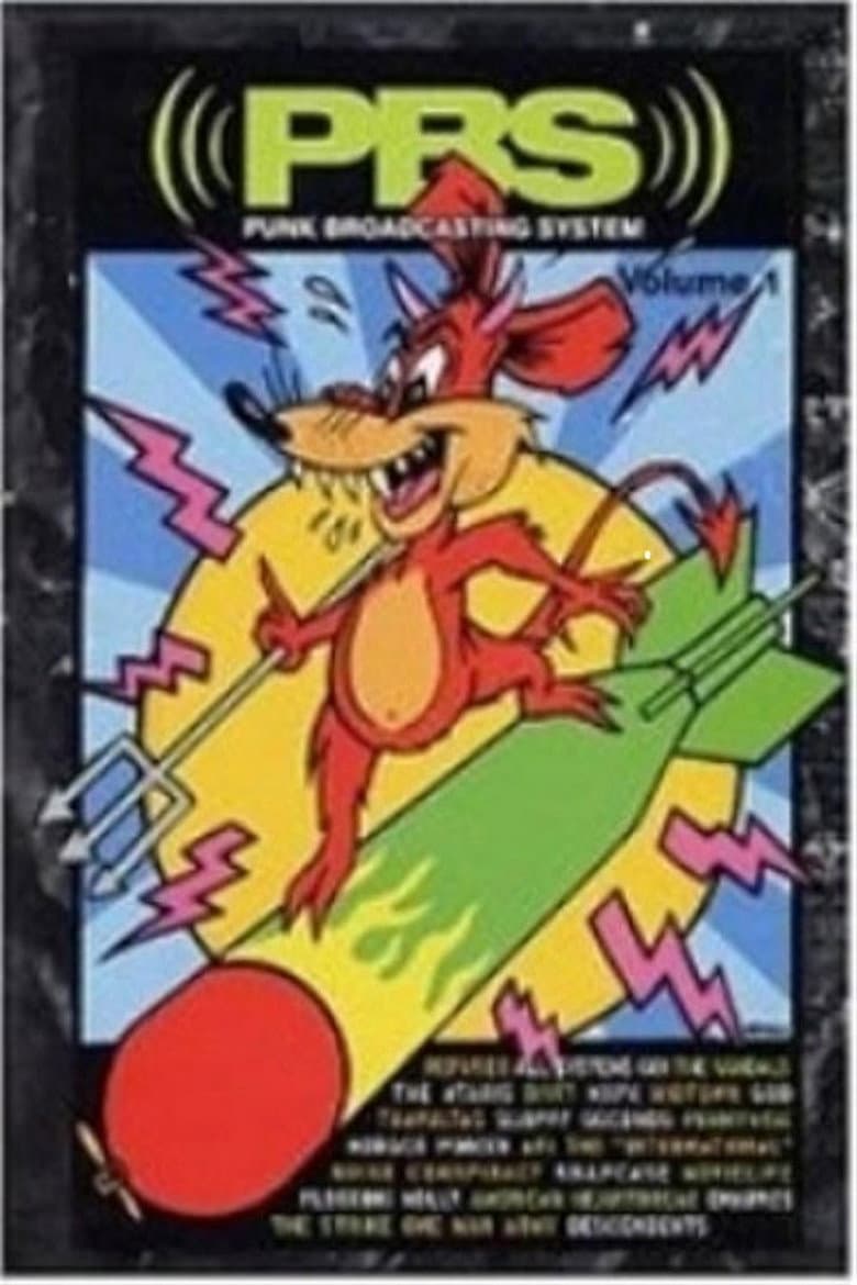 PBS: Punk Broadcasting System