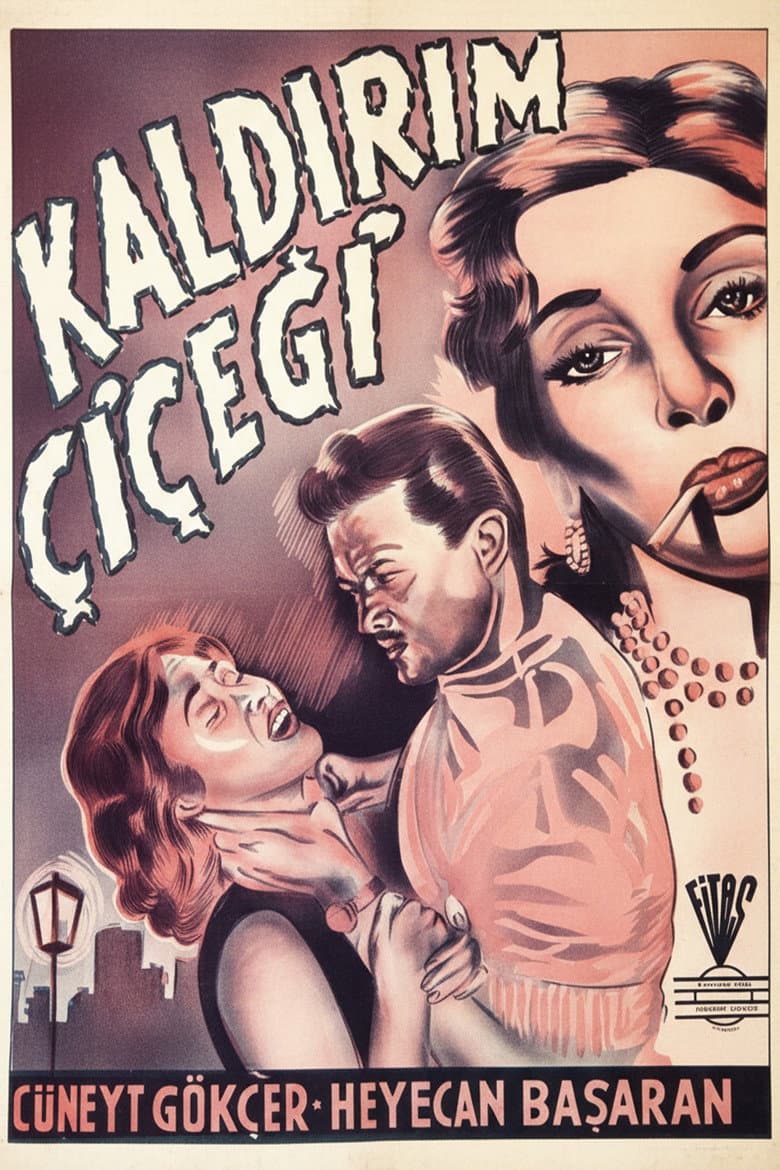 Kaldırım Çiçeği