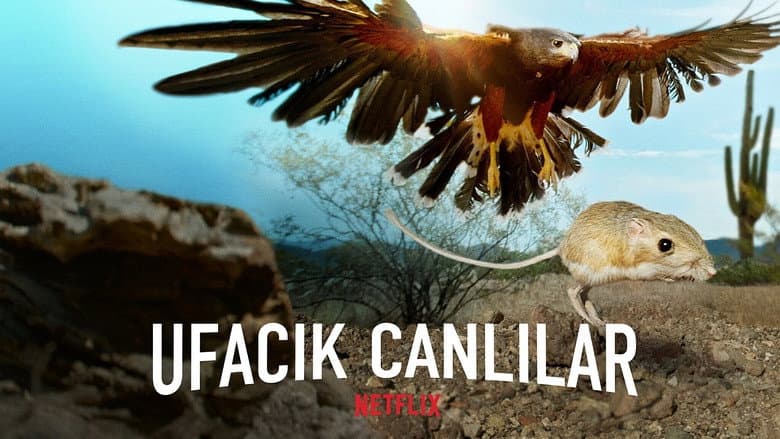Ufacık Canlılar Görsel 2