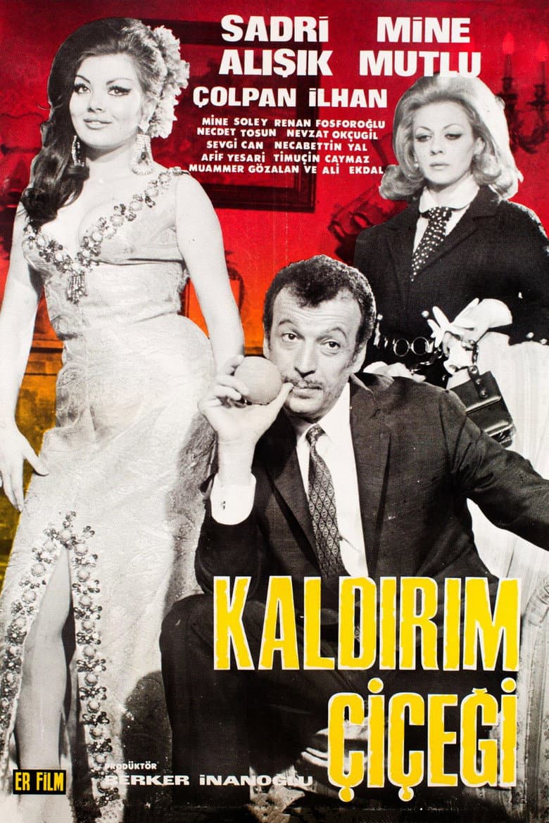 Kaldırım Çiçeği