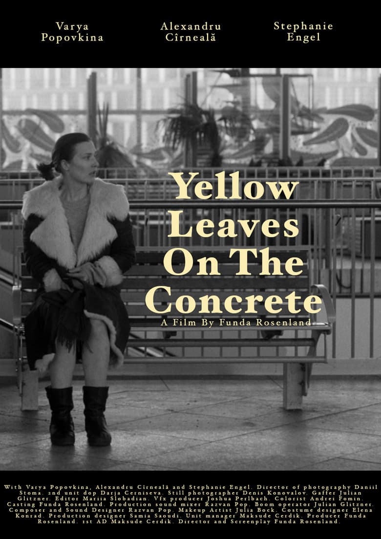 Yellow leaves on the concrete