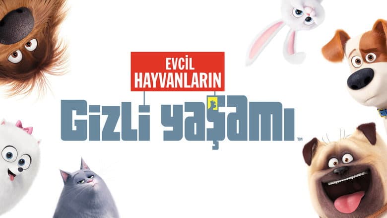 Evcil Hayvanların Gizli Yaşamı Görsel 1