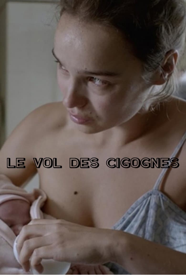 Le Vol des cigognes