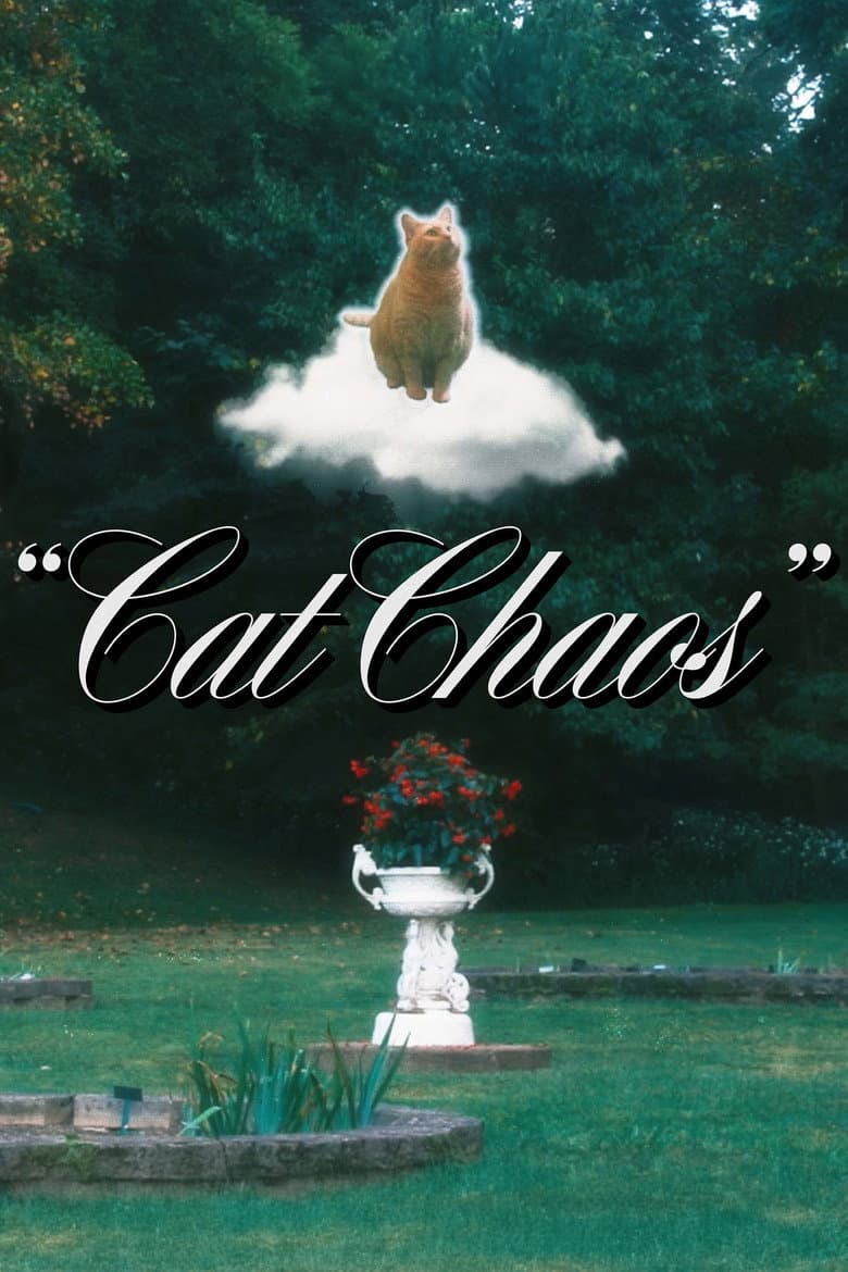 Cat Chaos