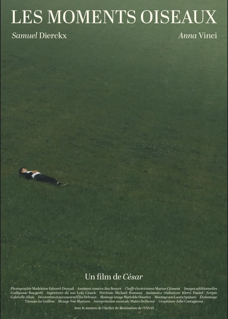 Les Moments Oiseaux