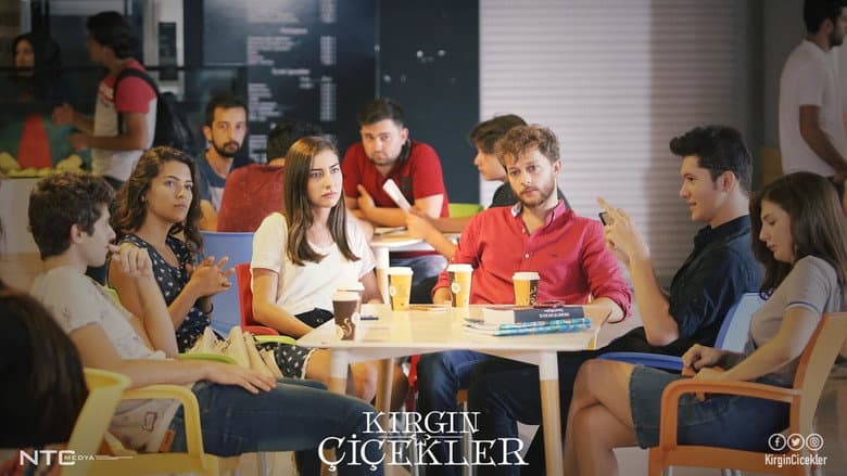 Kırgın Çiçekler Görsel 2