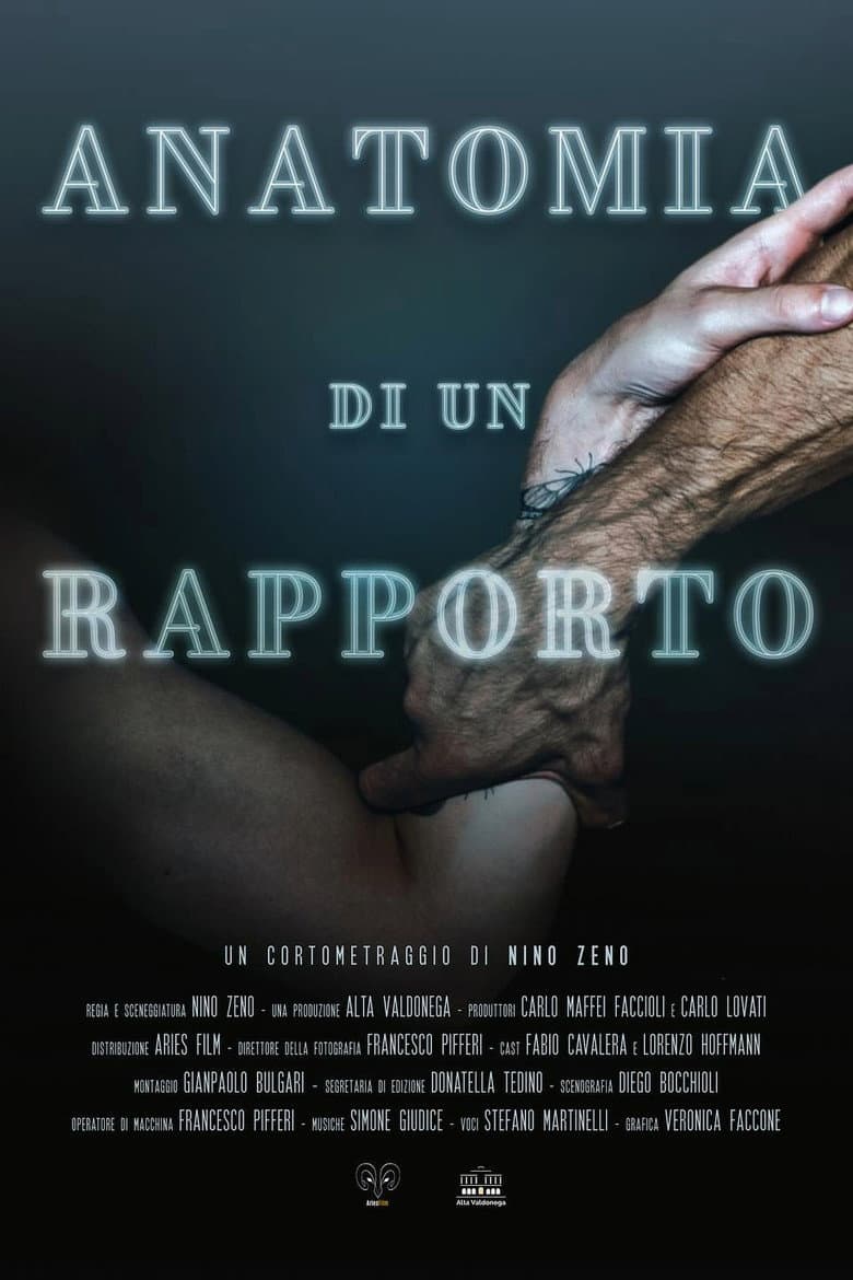 Anatomia di un rapporto