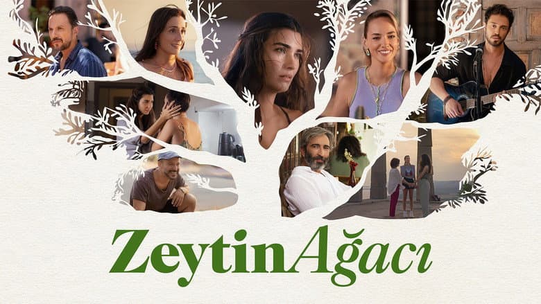 Zeytin Ağacı Görsel 1