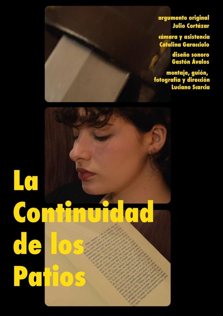 La Continuidad de los Patios
