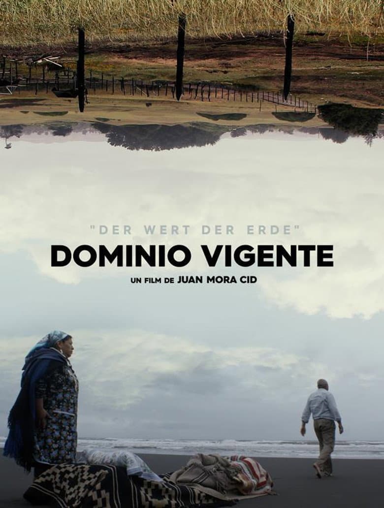 Dominio Vigente