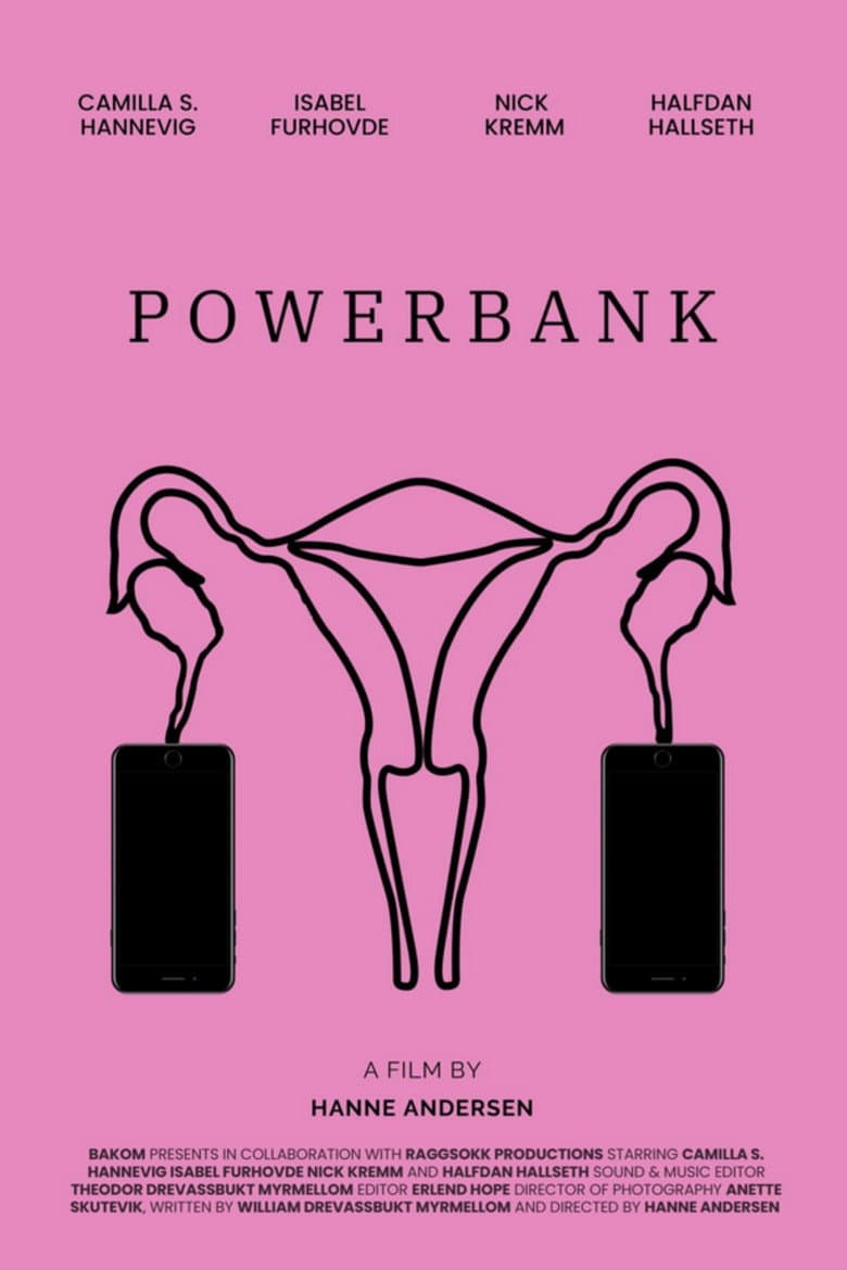 Power Bank