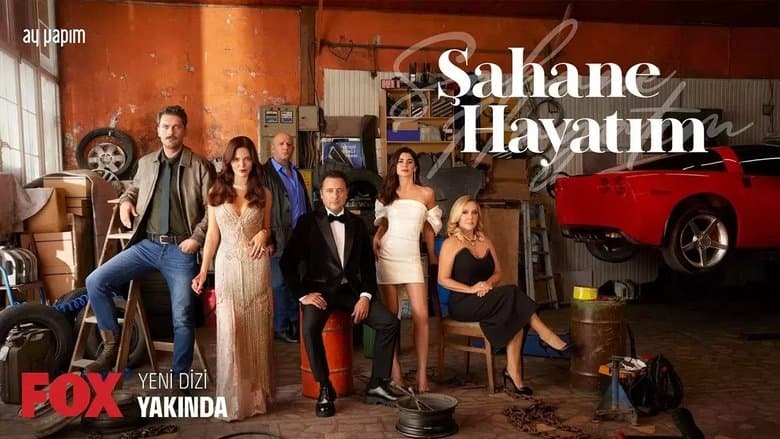 Şahane Hayatım Görsel 1