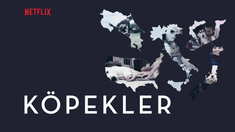 Köpekler Görsel 1
