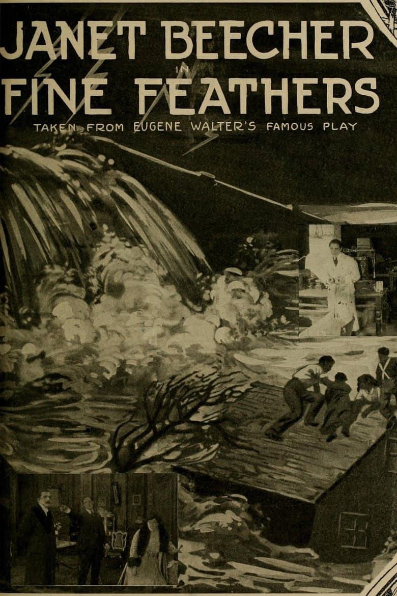 Fine Feathers