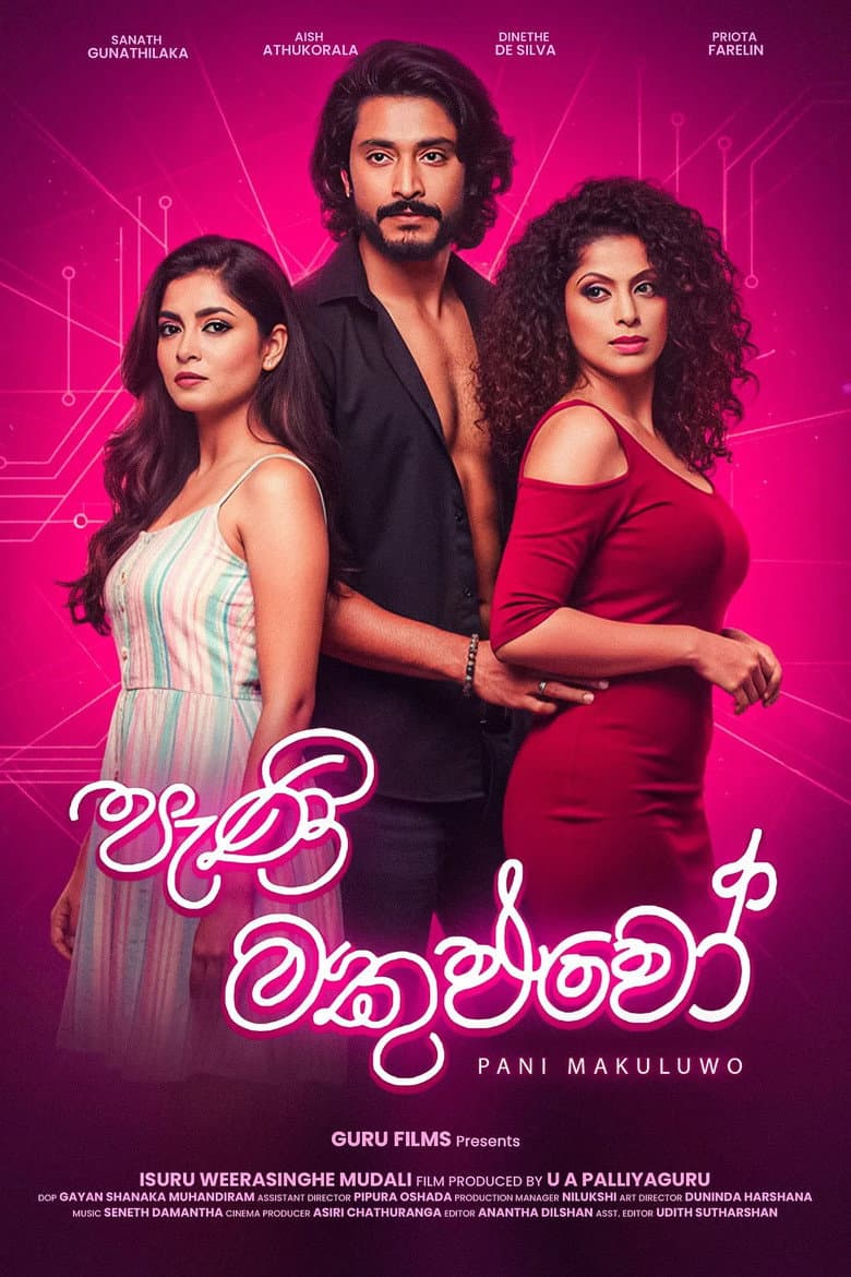 පැණි මකුළුවෝ