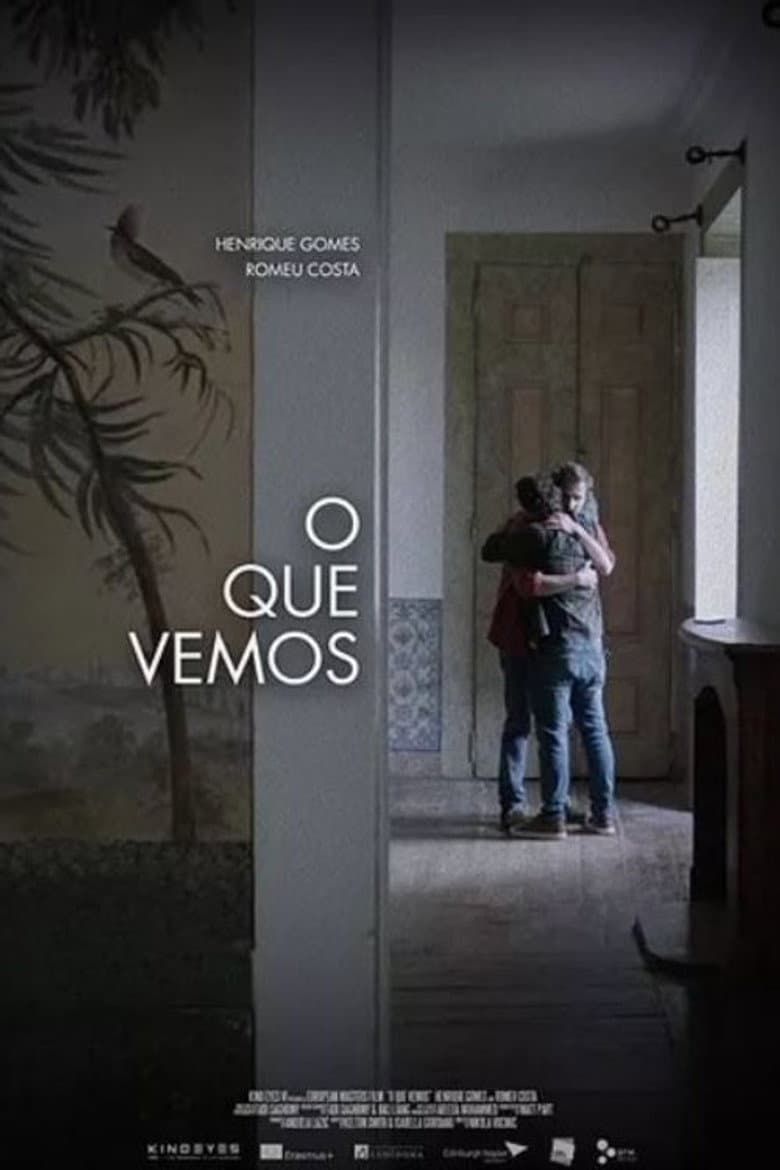 O que vemos