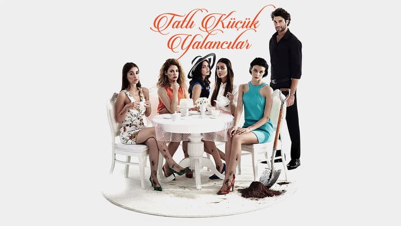 Tatlı Küçük Yalancılar Görsel 1