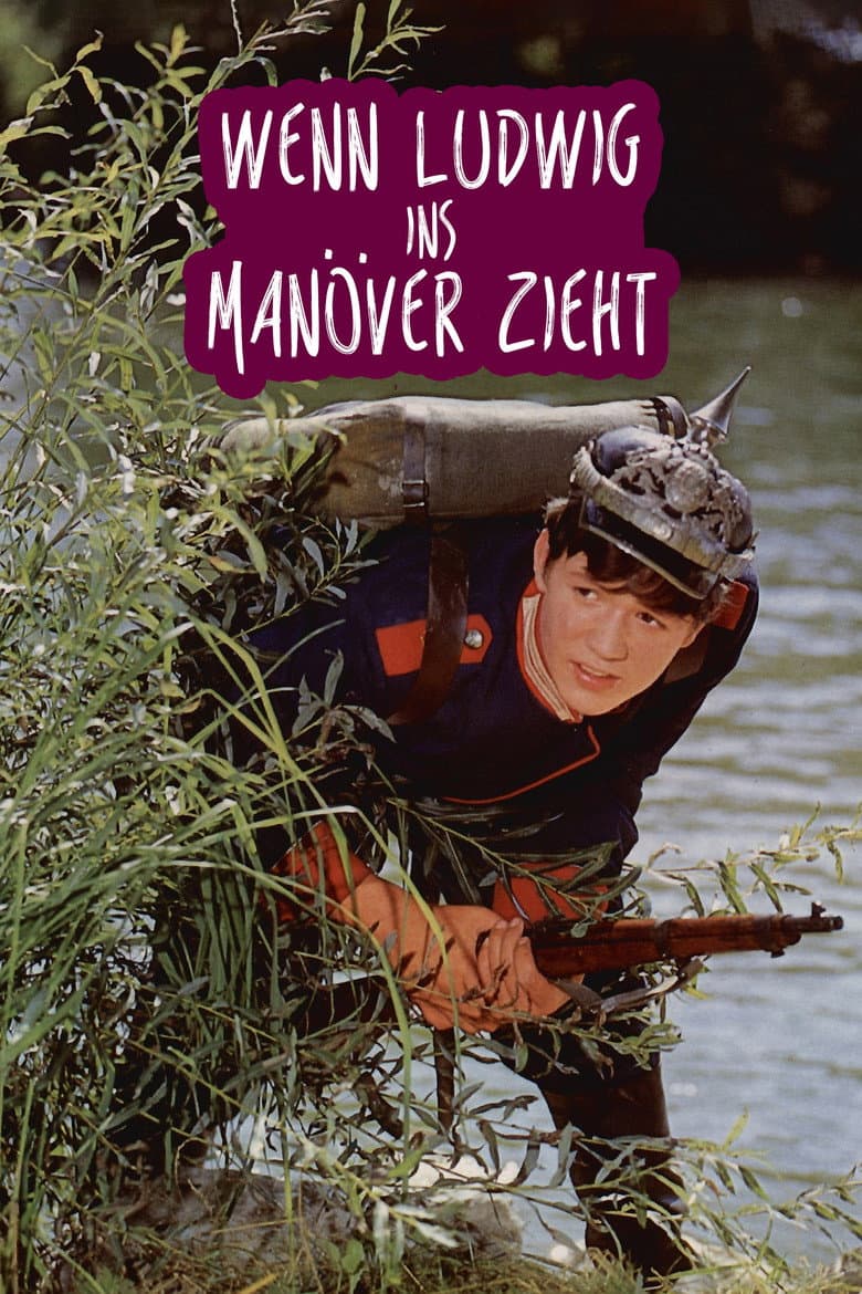 Wenn Ludwig ins Manöver zieht