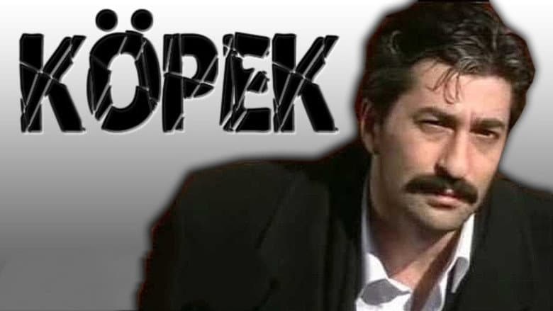 Köpek Görsel 1