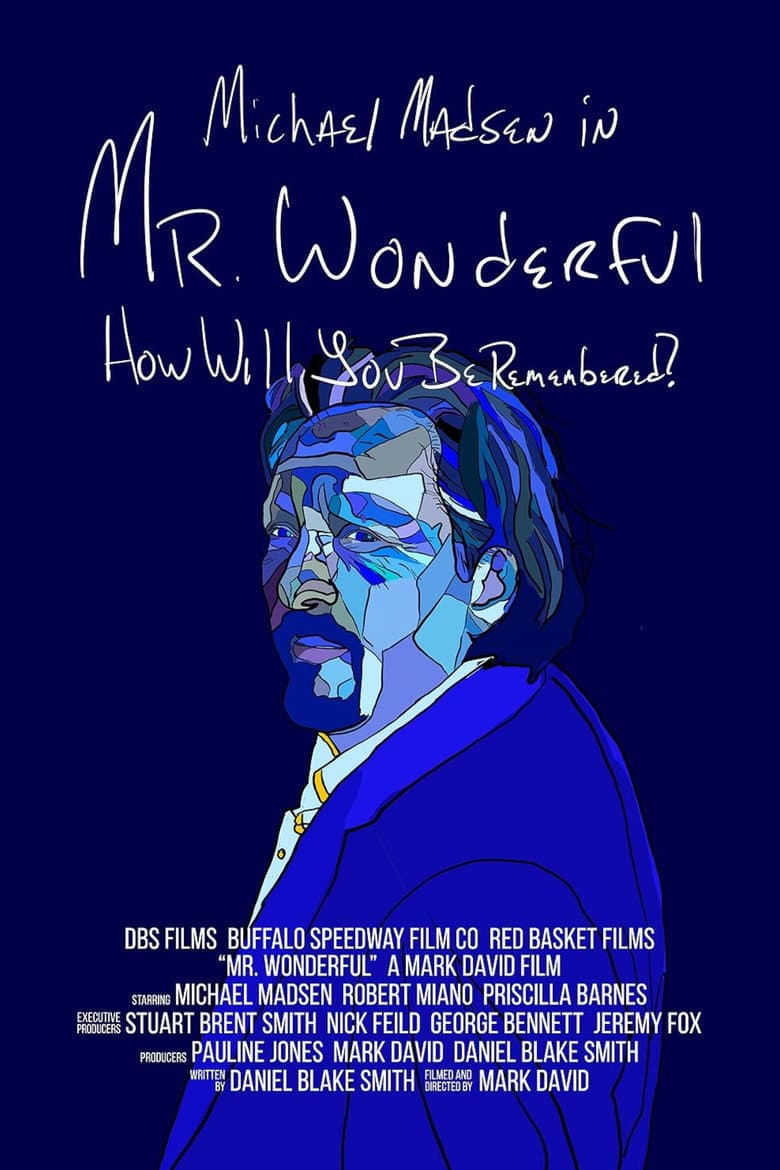 Mr. Wonderful