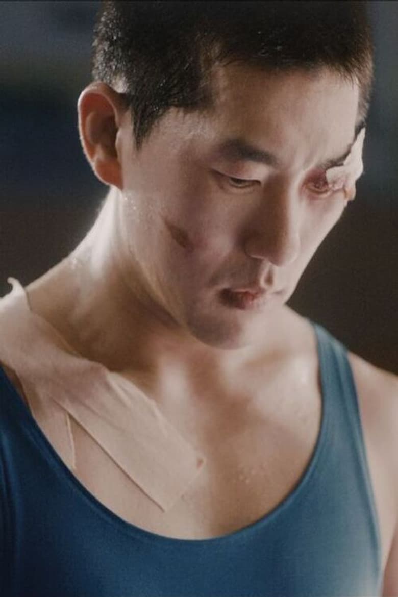 파테르
